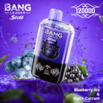 Bang Leader Stoll 120K Jednorazowy Vape – Dwa Smaki - imagine 14