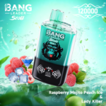 Bang Leader Stoll 120K Jednorazowy Vape – Dwa Smaki - imagine 11
