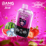 Bang Leader Stoll 120K Jednorazowy Vape – Dwa Smaki - imagine 4