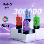 Vape de unică folosință Bang Leader 300K Puffs 6 în 1